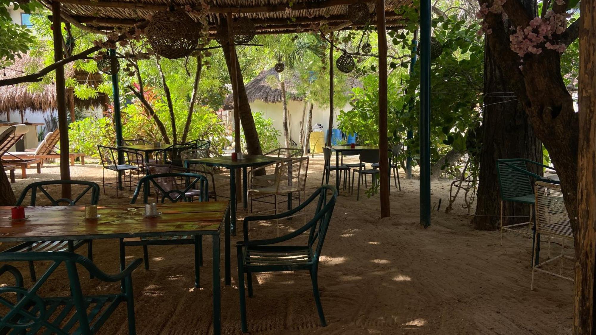 Nature Stay (Adults Only) Плая дел Кармен Екстериор снимка