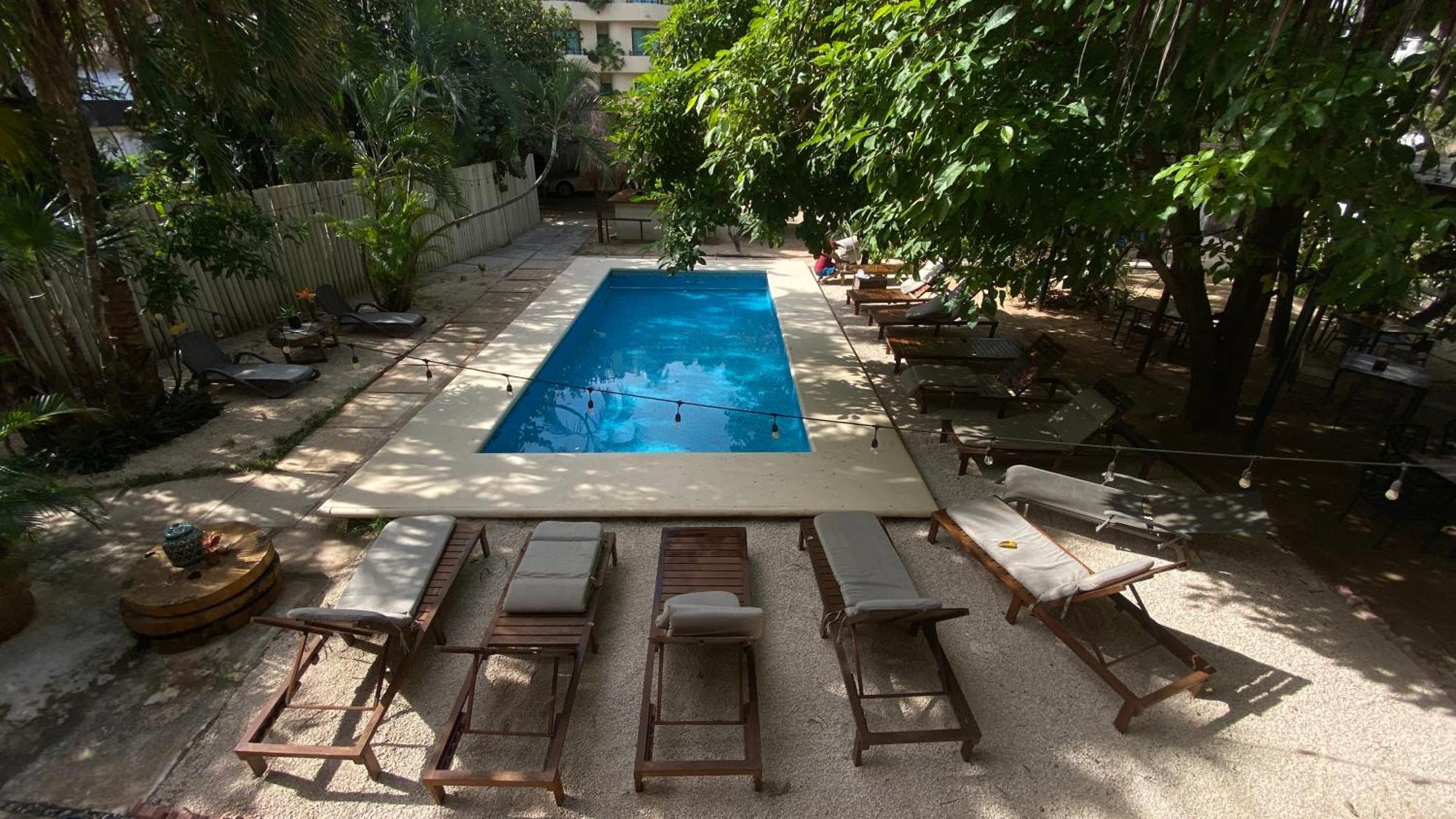 Nature Stay (Adults Only) Плая дел Кармен Екстериор снимка