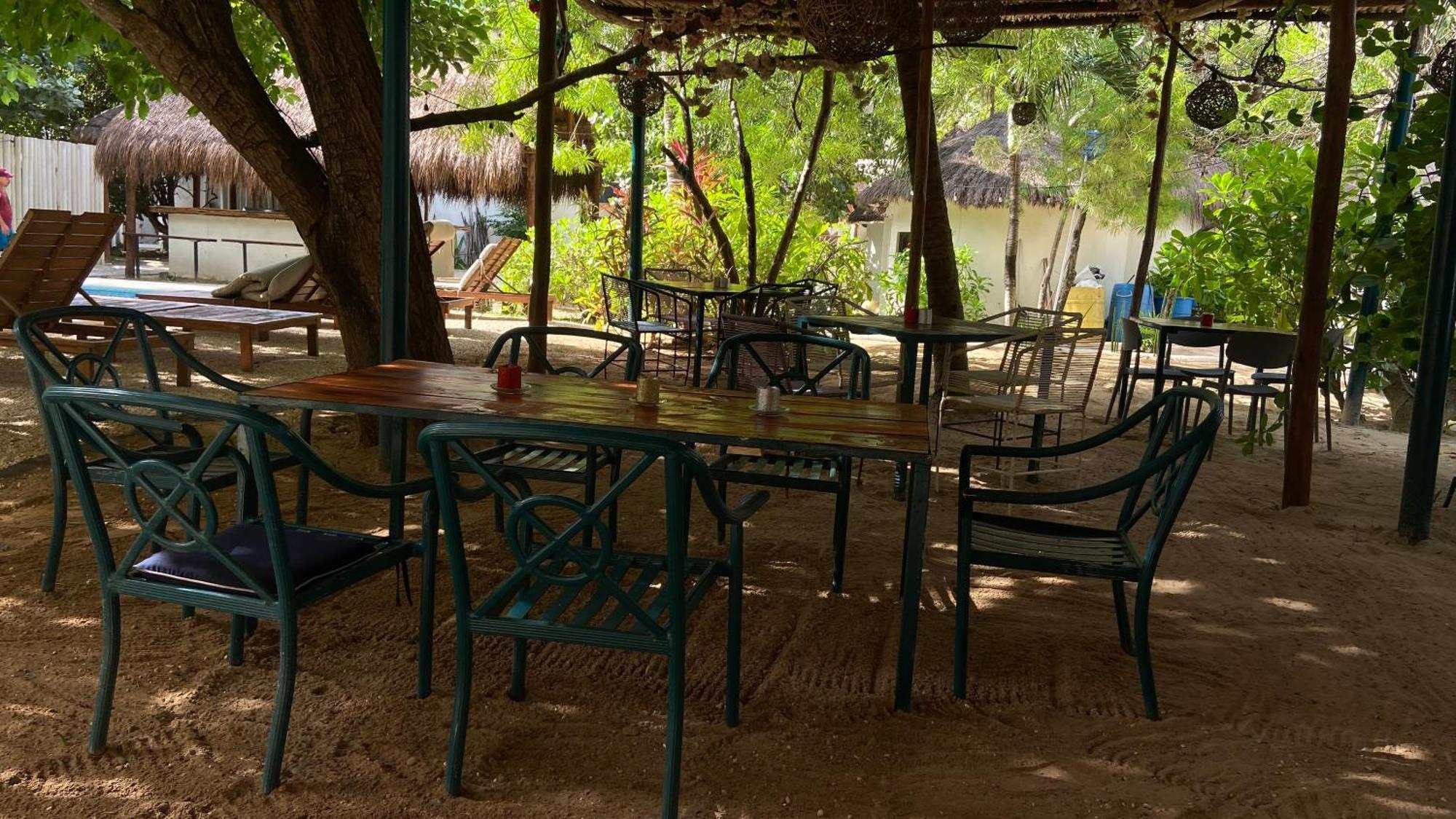 Nature Stay (Adults Only) Плая дел Кармен Екстериор снимка