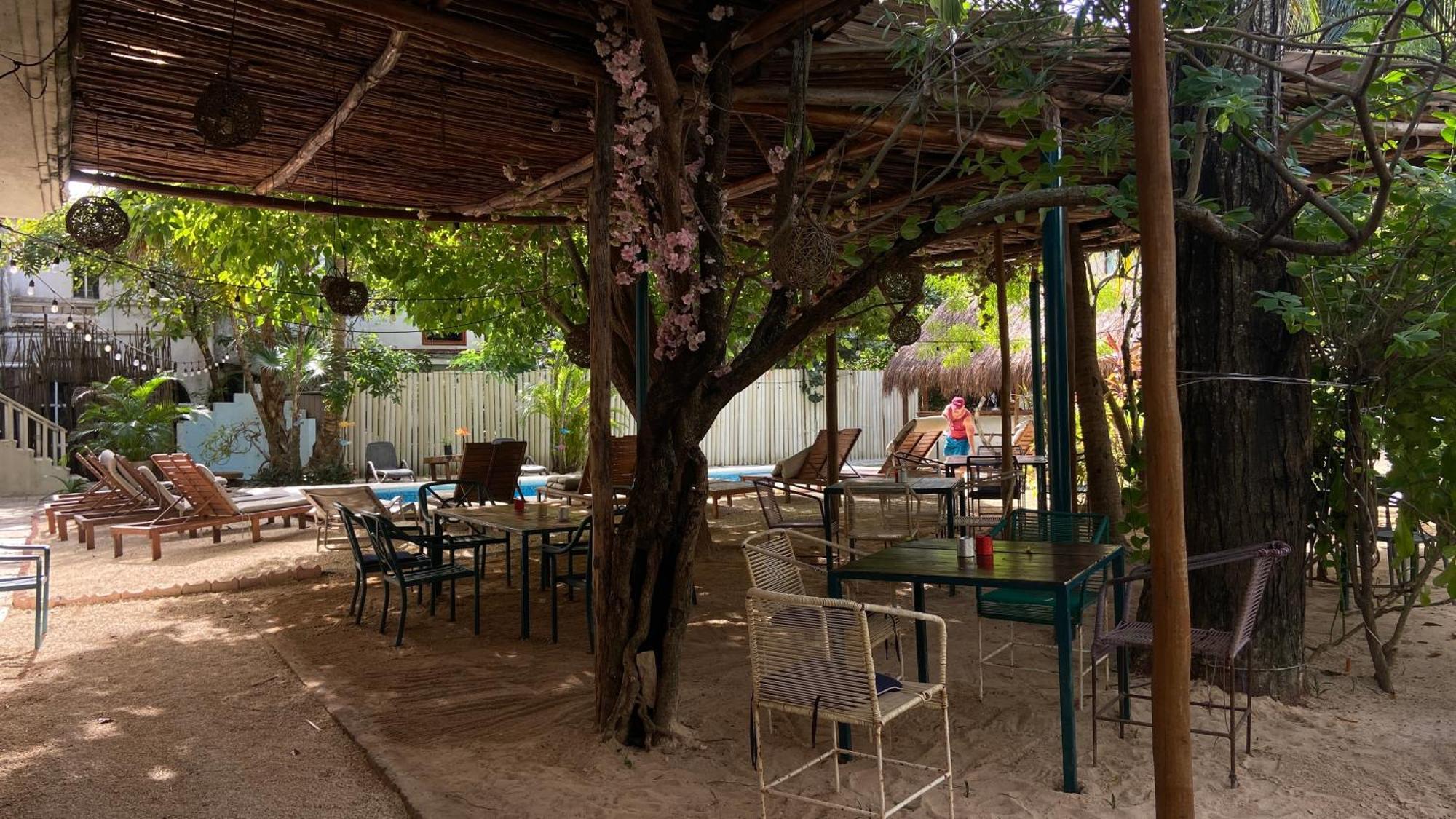 Nature Stay (Adults Only) Плая дел Кармен Екстериор снимка