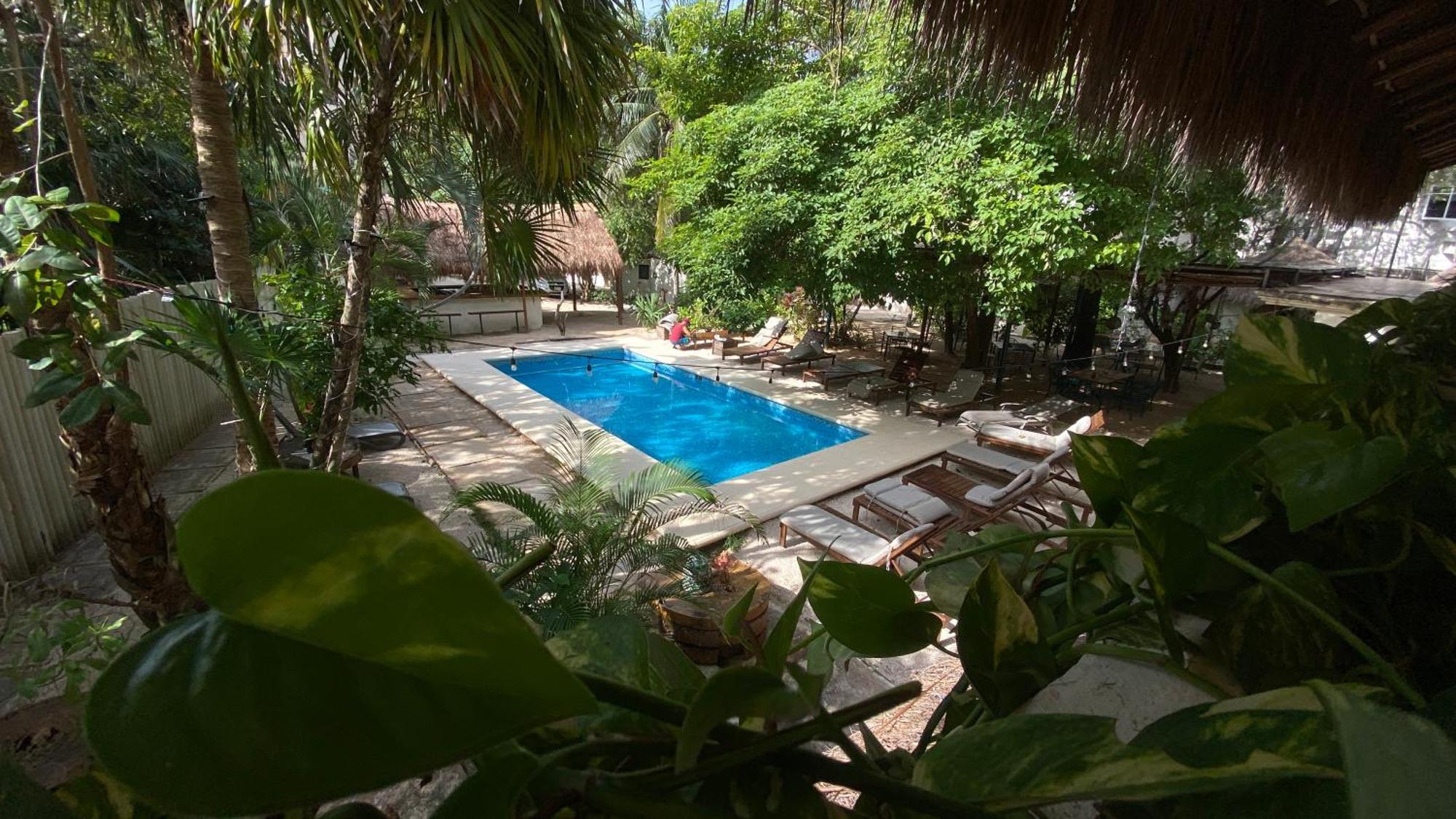 Nature Stay (Adults Only) Плая дел Кармен Екстериор снимка