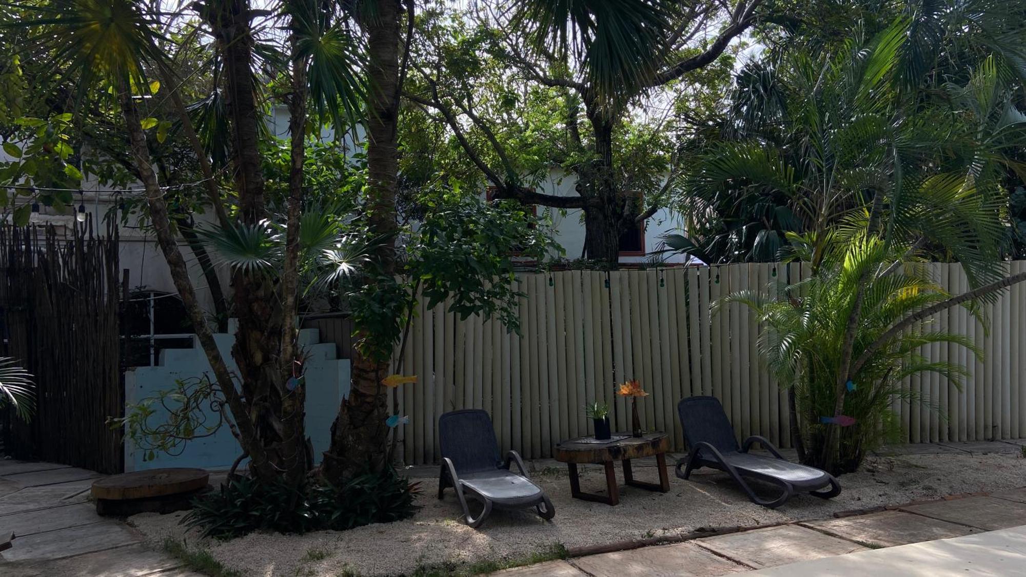 Nature Stay (Adults Only) Плая дел Кармен Екстериор снимка