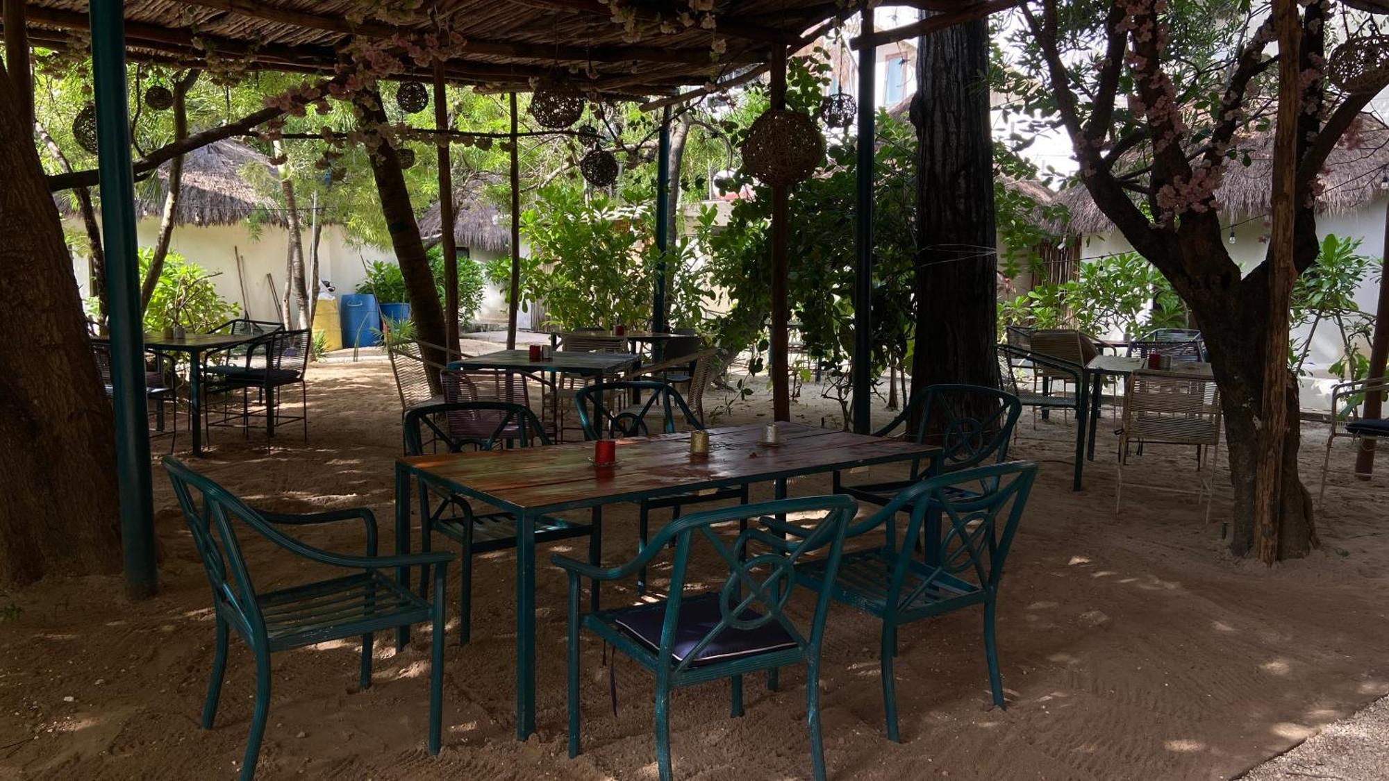 Nature Stay (Adults Only) Плая дел Кармен Екстериор снимка