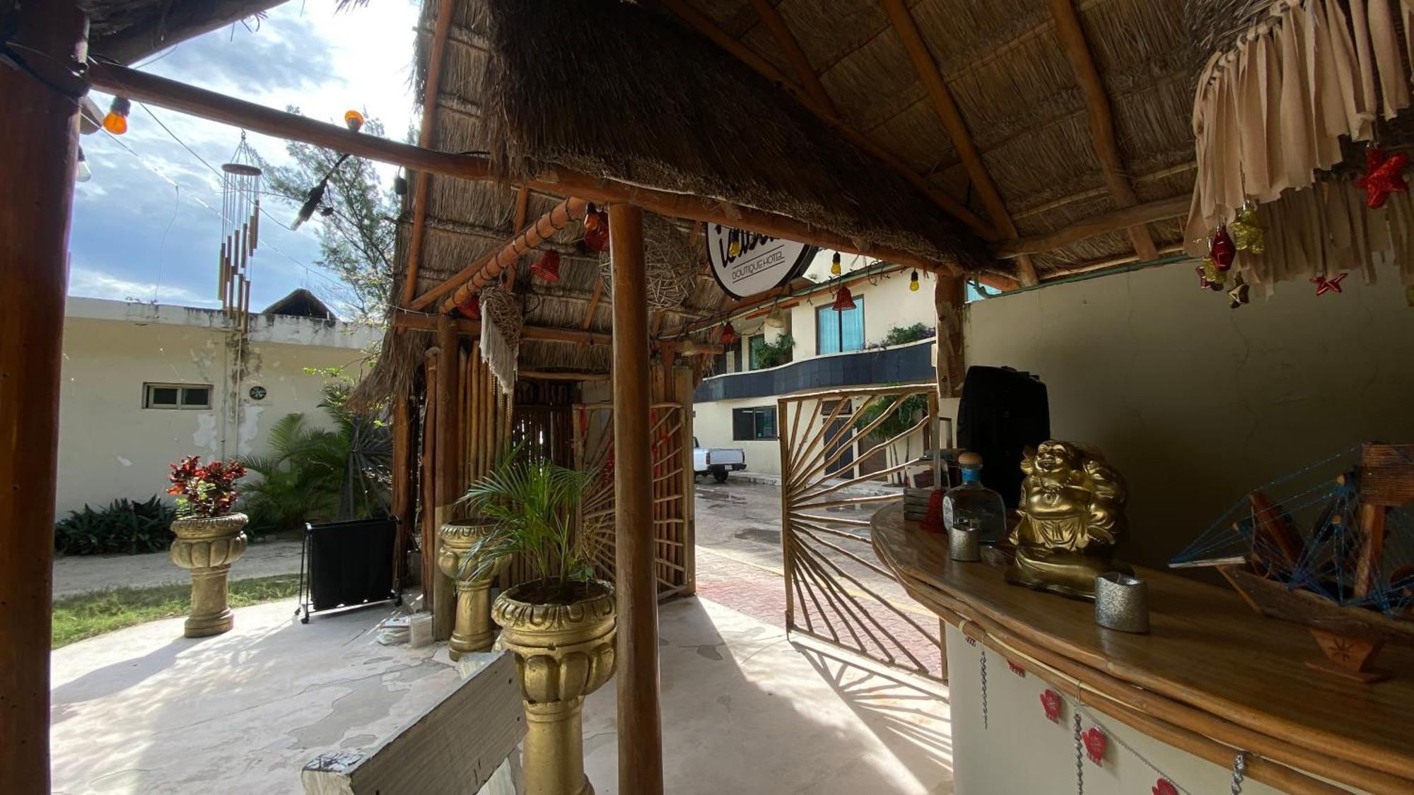 Nature Stay (Adults Only) Плая дел Кармен Екстериор снимка